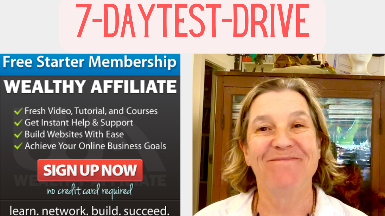 wealthy affiliate: the right choice for you?